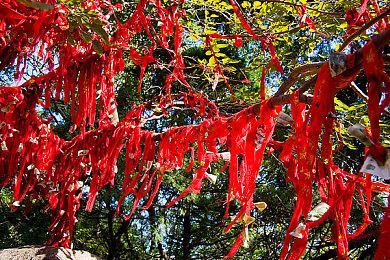 Steam《鉴赏家新品节》活动开启：多款国产新作试玩