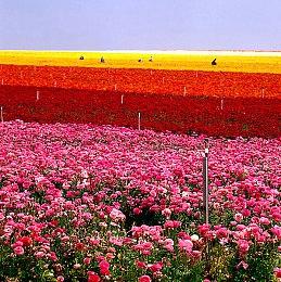 《最终幻想7：重生》Steam玩家峰值近3.8万 成为系列最高